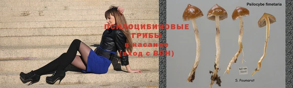 хмурый Гусиноозёрск