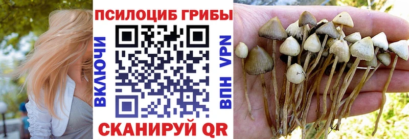 Псилоцибиновые грибы ЛСД  Купить  Кохма 